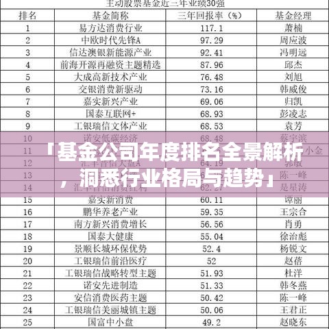 「基金公司年度排名全景解析，洞悉行業(yè)格局與趨勢(shì)」