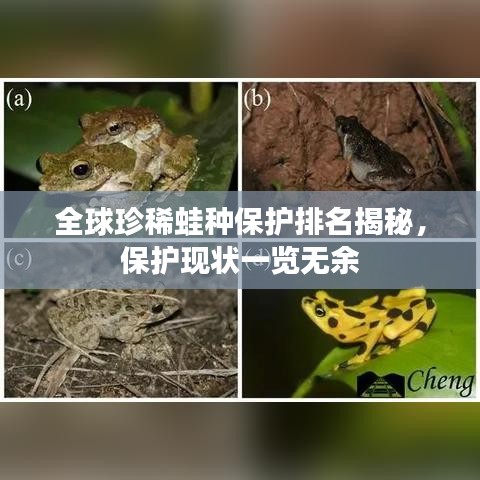 全球珍稀蛙種保護(hù)排名揭秘，保護(hù)現(xiàn)狀一覽無余