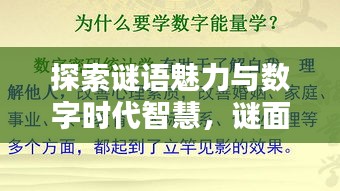 探索謎語魅力與數(shù)字時(shí)代智慧，謎面斷字與百度搜索的奇妙結(jié)合