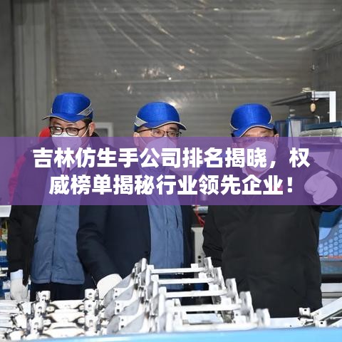 吉林仿生手公司排名揭曉，權(quán)威榜單揭秘行業(yè)領(lǐng)先企業(yè)！