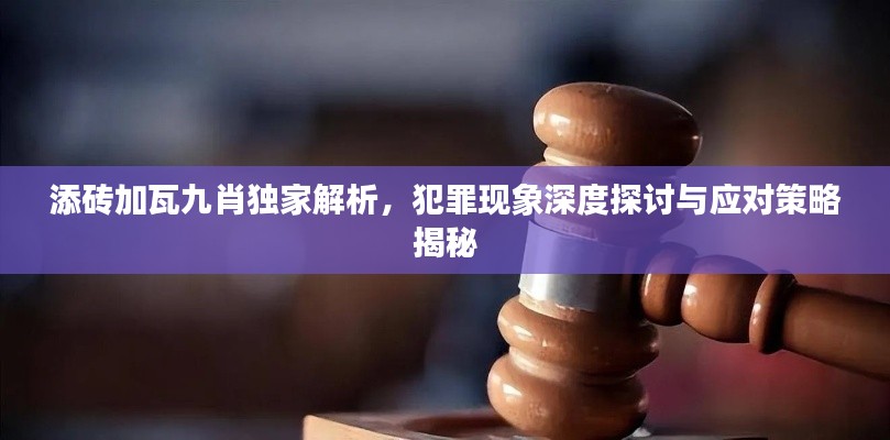 添磚加瓦九肖獨家解析，犯罪現(xiàn)象深度探討與應對策略揭秘