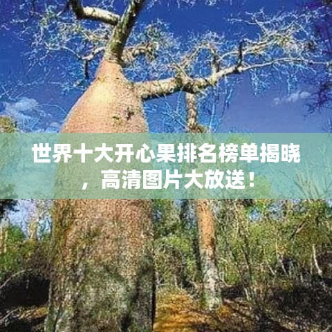 世界十大開心果排名榜單揭曉，高清圖片大放送！