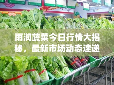 雨潤蔬菜今日行情大揭秘，最新市場動態(tài)速遞