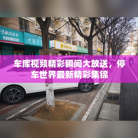 車庫(kù)視頻精彩瞬間大放送，停車世界最新精彩集錦