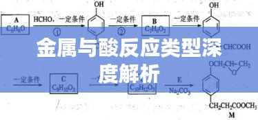 金屬與酸反應類型深度解析