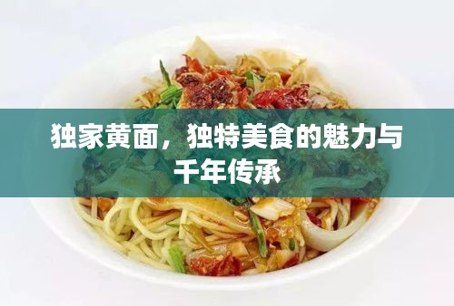 獨(dú)家黃面，獨(dú)特美食的魅力與千年傳承