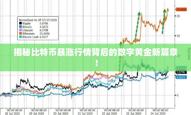 揭秘比特幣暴漲行情背后的數(shù)字黃金新篇章！