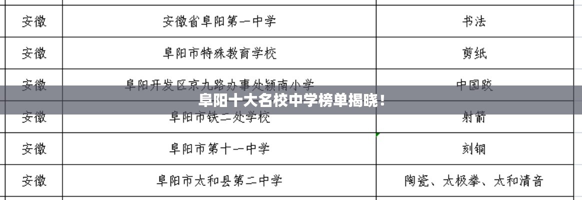 阜陽十大名校中學(xué)榜單揭曉！