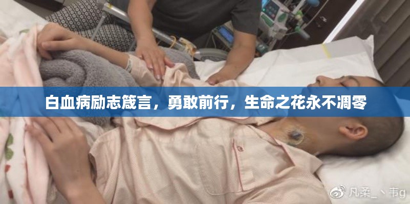 白血病勵志箴言，勇敢前行，生命之花永不凋零