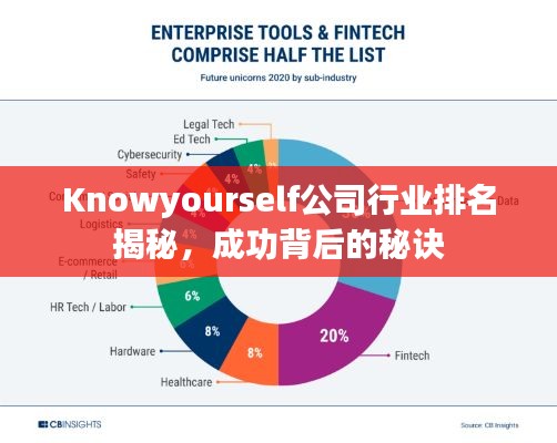 Knowyourself公司行業(yè)排名揭秘，成功背后的秘訣
