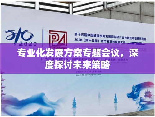 專業(yè)化發(fā)展方案專題會議，深度探討未來策略