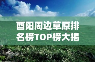 酉陽周邊草原排名榜TOP榜大揭秘！最新排名榜單來襲！