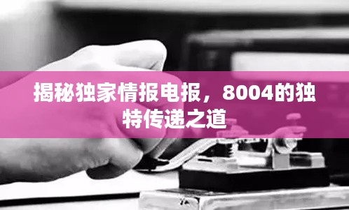 揭秘獨家情報電報，8004的獨特傳遞之道