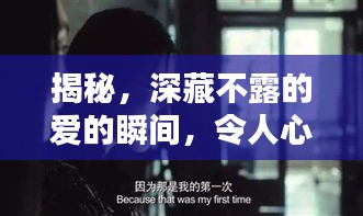 揭秘，深藏不露的愛的瞬間，令人心動(dòng)不已！
