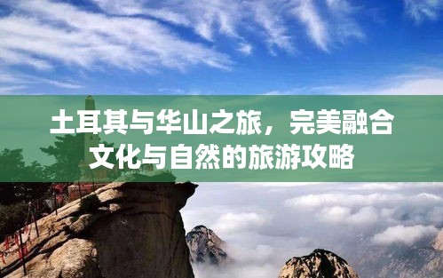 張皇鋪飾 第2頁(yè)