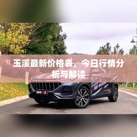 玉溪最新價(jià)格表，今日行情分析與解讀