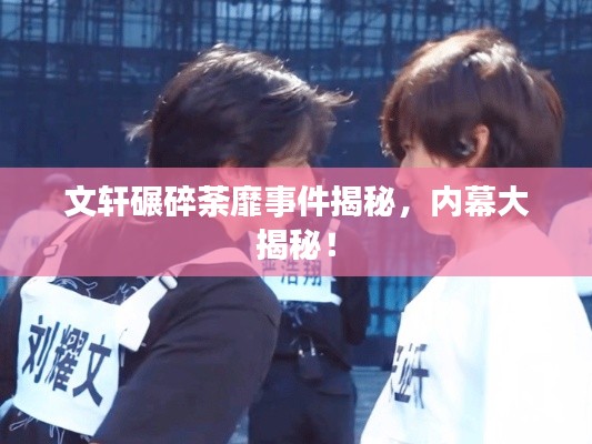 文軒碾碎荼靡事件揭秘，內(nèi)幕大揭秘！