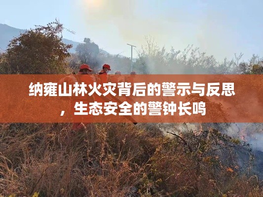 納雍山林火災(zāi)背后的警示與反思，生態(tài)安全的警鐘長鳴