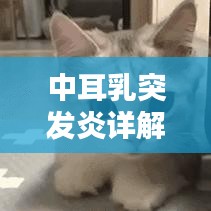 中耳乳突發(fā)炎詳解，定義、誘因、癥狀與治療方案