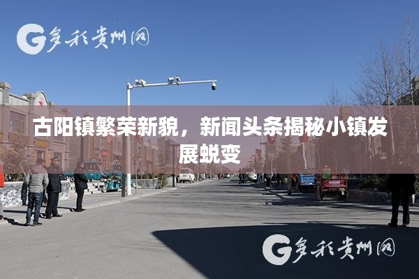 古陽(yáng)鎮(zhèn)繁榮新貌，新聞?lì)^條揭秘小鎮(zhèn)發(fā)展蛻變