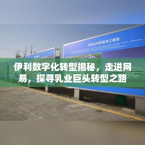 伊利數(shù)字化轉(zhuǎn)型揭秘，走進網(wǎng)易，探尋乳業(yè)巨頭轉(zhuǎn)型之路