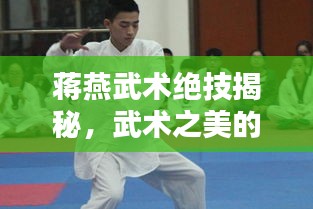 蔣燕武術(shù)絕技揭秘，武術(shù)之美的獨(dú)特魅力視頻欣賞