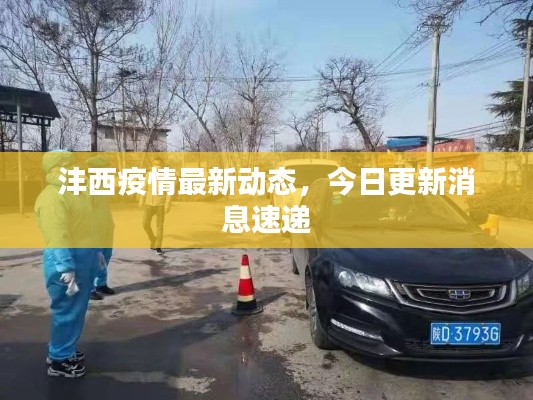 灃西疫情最新動(dòng)態(tài)，今日更新消息速遞