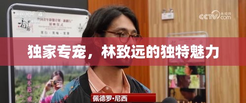 獨(dú)家專寵，林致遠(yuǎn)的獨(dú)特魅力
