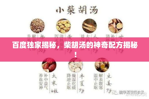 百度獨(dú)家揭秘，柴胡湯的神奇配方揭秘！