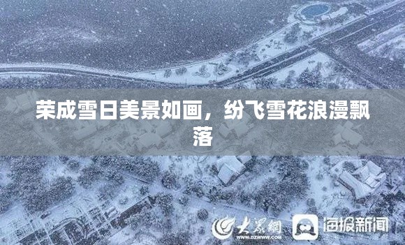 榮成雪日美景如畫，紛飛雪花浪漫飄落
