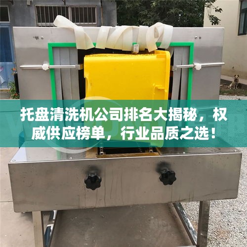 托盤清洗機公司排名大揭秘，權威供應榜單，行業(yè)品質(zhì)之選！