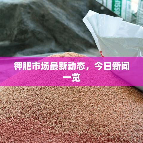 鉀肥市場最新動態(tài)，今日新聞一覽