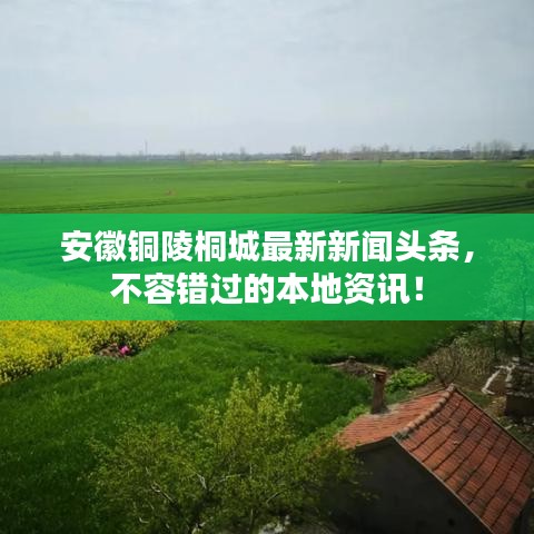 安徽銅陵桐城最新新聞?lì)^條，不容錯(cuò)過(guò)的本地資訊！