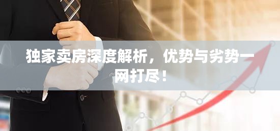 獨(dú)家賣房深度解析，優(yōu)勢與劣勢一網(wǎng)打盡！