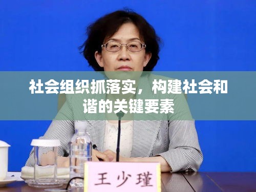 社會組織抓落實，構(gòu)建社會和諧的關(guān)鍵要素