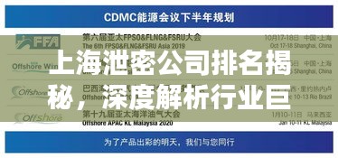 上海泄密公司排名揭秘，深度解析行業(yè)巨頭