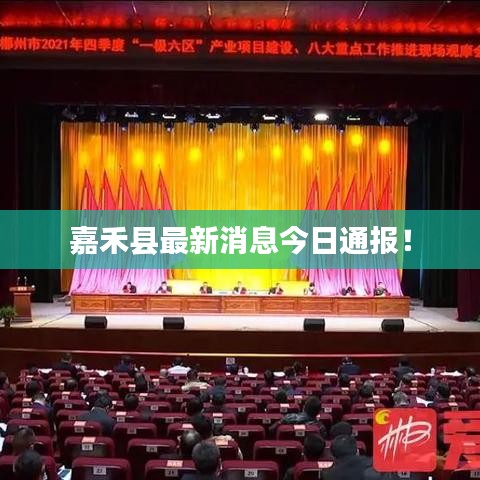 嘉禾縣最新消息今日通報！