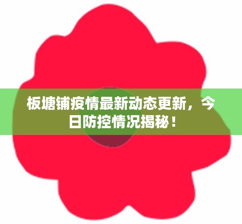 板塘鋪疫情最新動(dòng)態(tài)更新，今日防控情況揭秘！