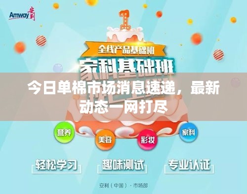 今日單棉市場消息速遞，最新動態(tài)一網(wǎng)打盡