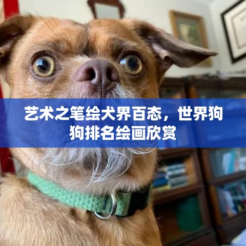 飛天遁地 第2頁(yè)
