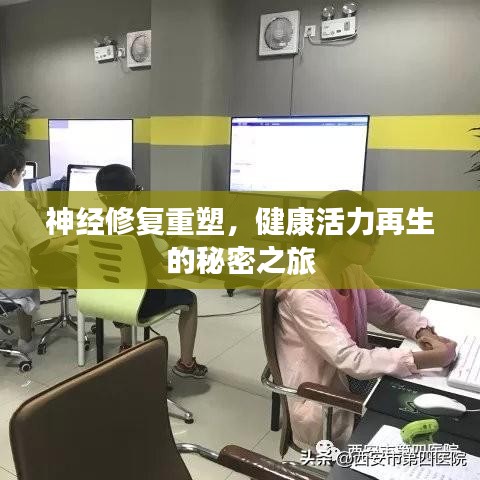 神經(jīng)修復(fù)重塑，健康活力再生的秘密之旅
