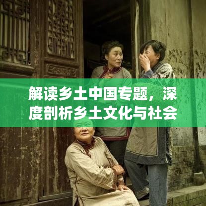 解讀鄉(xiāng)土中國(guó)專題，深度剖析鄉(xiāng)土文化與社會(huì)根源