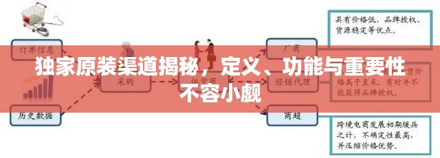 獨(dú)家原裝渠道揭秘，定義、功能與重要性不容小覷