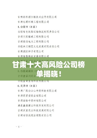 甘肅十大高風(fēng)險(xiǎn)公司榜單揭曉！