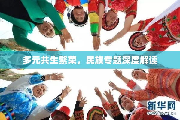 多元共生繁榮，民族專題深度解讀