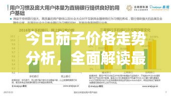 今日茄子價格走勢分析，全面解讀最新行情