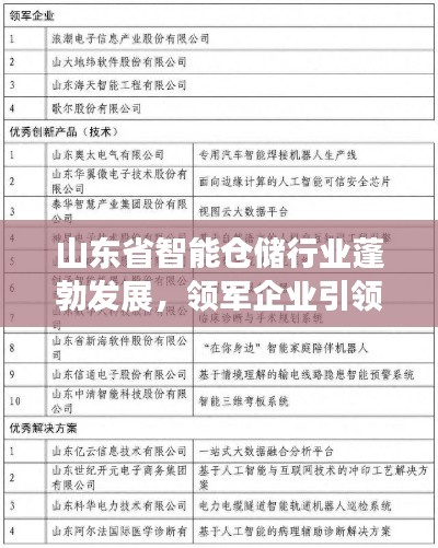 山東省智能倉儲行業(yè)蓬勃發(fā)展，領軍企業(yè)引領潮流榜單揭曉！