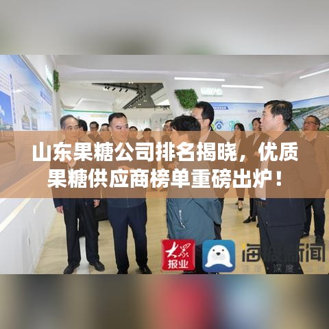 山東果糖公司排名揭曉，優(yōu)質(zhì)果糖供應(yīng)商榜單重磅出爐！