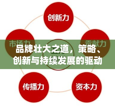 品牌壯大之道，策略、創(chuàng)新與持續(xù)發(fā)展的驅(qū)動力