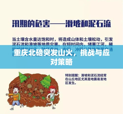 重慶北碚突發(fā)山火，挑戰(zhàn)與應(yīng)對(duì)策略